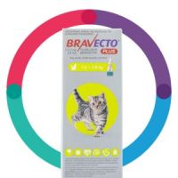 Bravecto® Plus Cat Small 1.2-2.8 kg