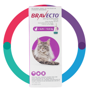 Bravecto® Spot On for Cats Large >6.25–12.5 kg - bravectorewards-com