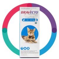 Bravecto® Spot On for Cats Medium >2.8–6.25 kg