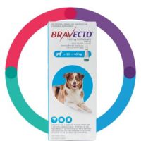 Bravecto® Dog Large 20-40 kg Spot-On